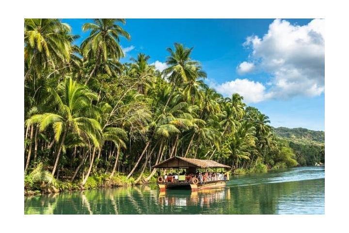 Tour de las colinas de chocolate con almuerzo buffet en el río Tarsier y Loboc (tour de medio día)