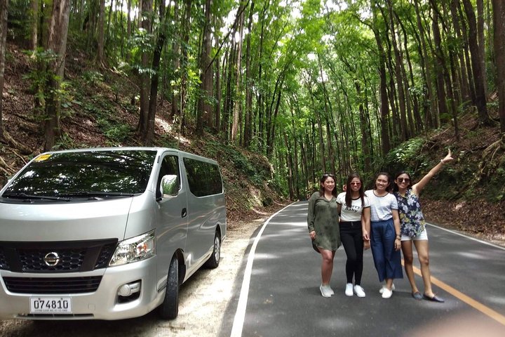 Tour de las colinas de chocolate con almuerzo buffet en el río Tarsier y Loboc (tour de medio día)
