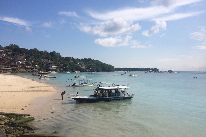 3 plongées Nusa Lembongan - Penida, plongeur certifié (à Lembongan)