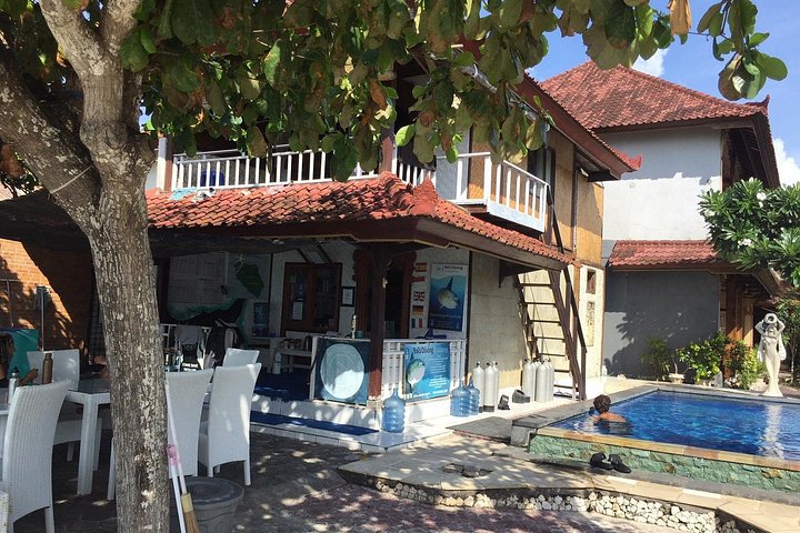 3 plongées Nusa Lembongan - Penida, plongeur certifié (à Lembongan)