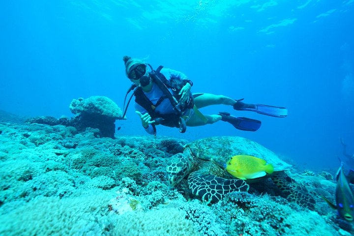 3 plongées Nusa Lembongan - Penida, plongeur certifié (à Lembongan)
