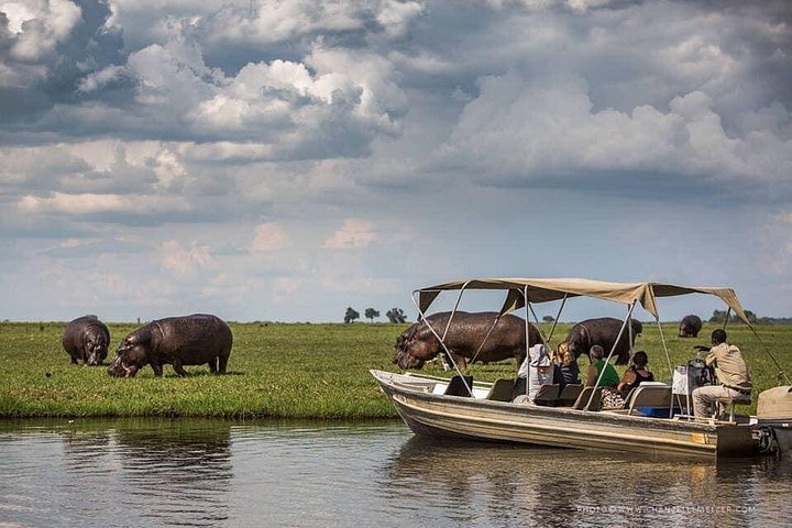 Chobe River Game Cruise – Wildlife & Birdwatching Experience