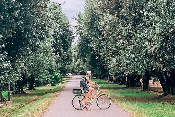 Självguidad cykeltur i Luján de Cuyo Wine Region (Mendoza)