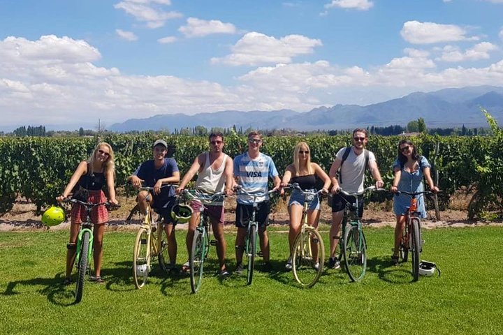 Självguidad cykeltur i Luján de Cuyo Wine Region (Mendoza)