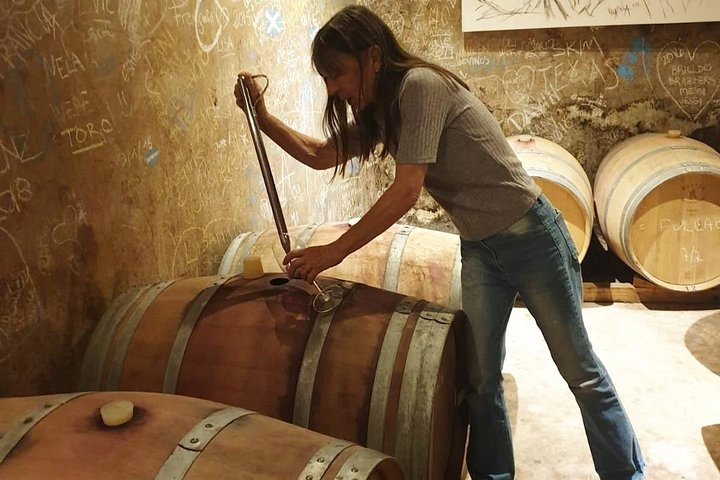 Självguidad cykeltur i Luján de Cuyo Wine Region (Mendoza)