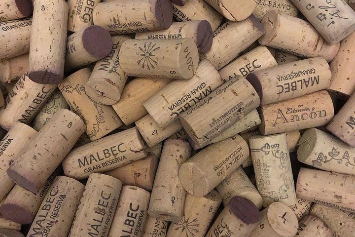 Självguidad cykeltur i Luján de Cuyo Wine Region (Mendoza)