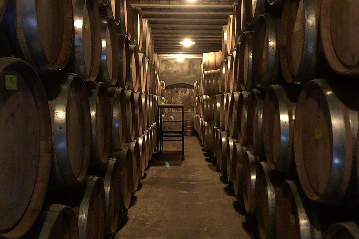 Självguidad cykeltur i Luján de Cuyo Wine Region (Mendoza)