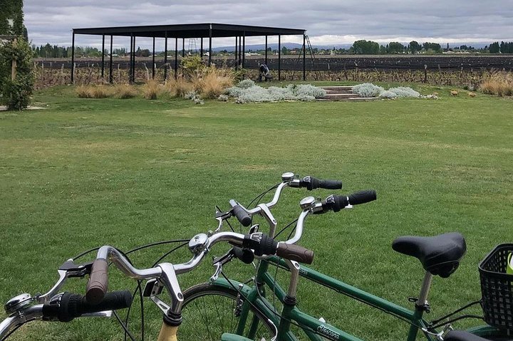 Självguidad cykeltur i Luján de Cuyo Wine Region (Mendoza)