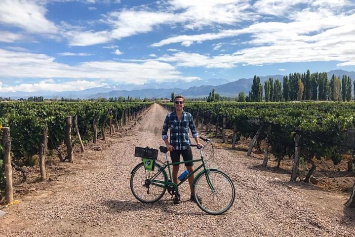 Självguidad cykeltur i Luján de Cuyo Wine Region (Mendoza)