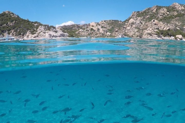 Excursion en voilier sur l'archipel de La Maddalena au départ de Palau