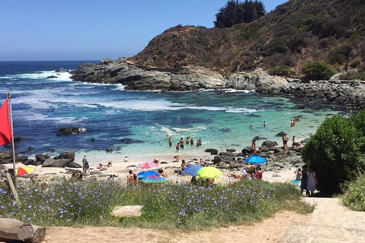 Zapallar Vandring och fågelskådning Penguin Island från Valparaíso