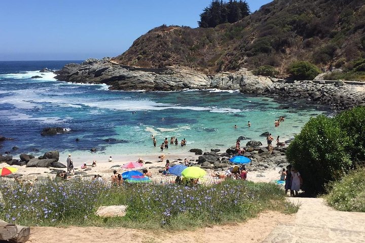 Passeio de barco privado para ver pingüins de Valparaíso Cachagua Island