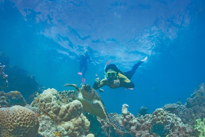 Tour di navigazione, SUP e snorkeling nelle Isole Whitsunday - Bassa affluenza