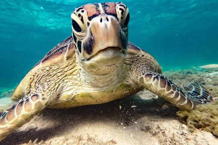 Tour di navigazione, SUP e snorkeling nelle Isole Whitsunday - Bassa affluenza