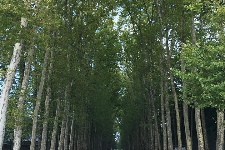 Private Tour durch den Königspalast und die Gärten von Versailles mit dem Golfwagen