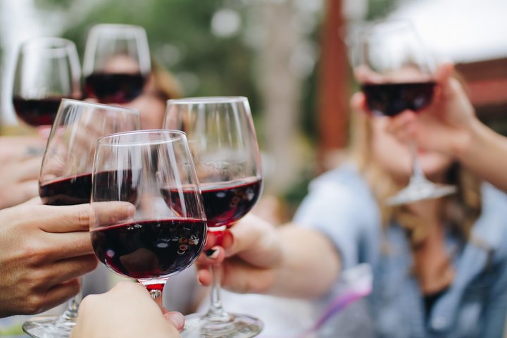 Viagem de um dia: Degustação de vinhos em Ribera del Duero saindo de Madri (de trem de alta velocidade)
