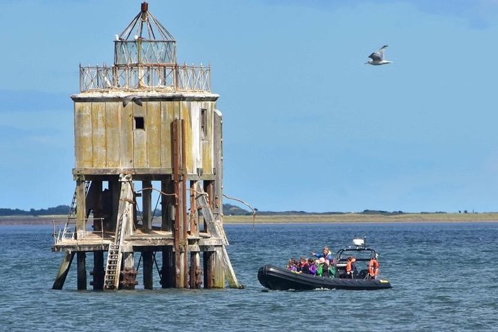 Boot Seafari Abenteuer