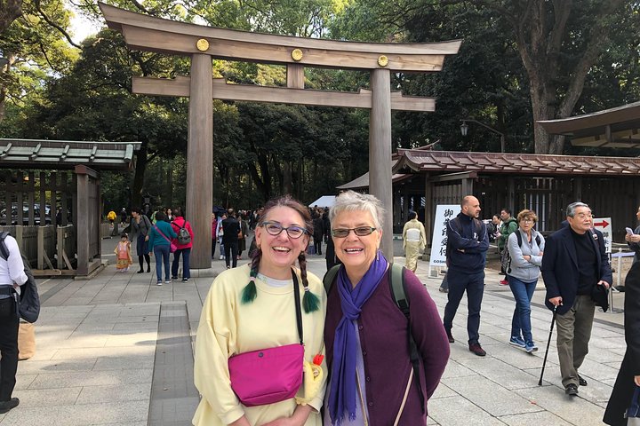 Tokyo Customized Private Tour in 1 Day with Licensed Guide