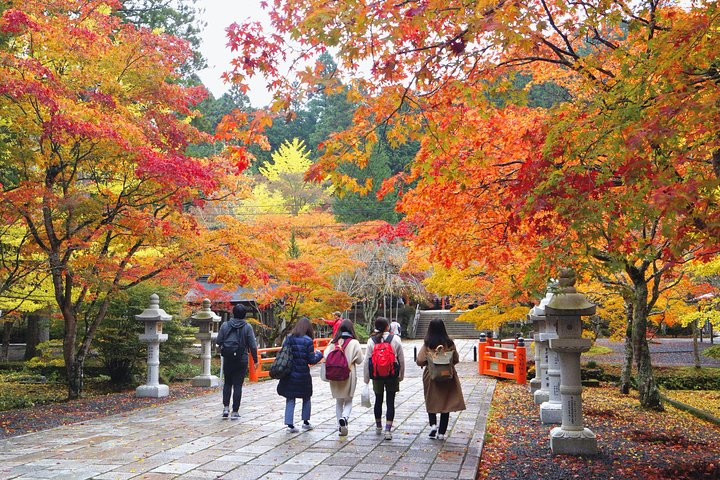 Koyasan heldags privat tur