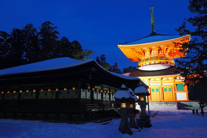 Koyasan heldags privat tur