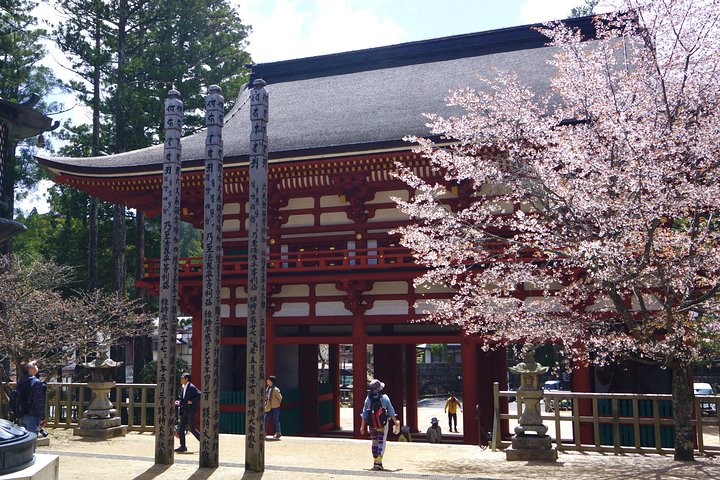 Koyasan heldags privat tur