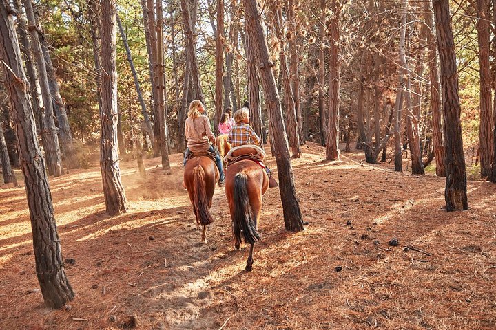 Randonnée à pied et à cheval sur la plage de Mauco Hill De VALPARAISO