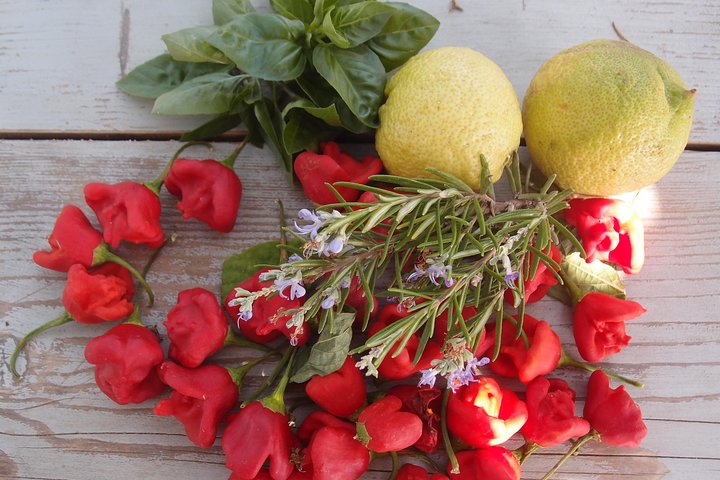 Clase de cocina, cocina tradicional griega, en una isla griega.