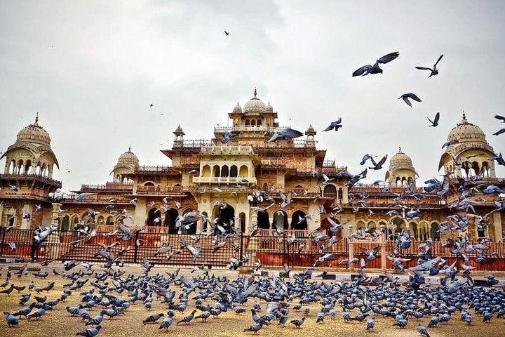 Visite privée d'une journée du patrimoine de Jaipur avec le Fort d'Amber