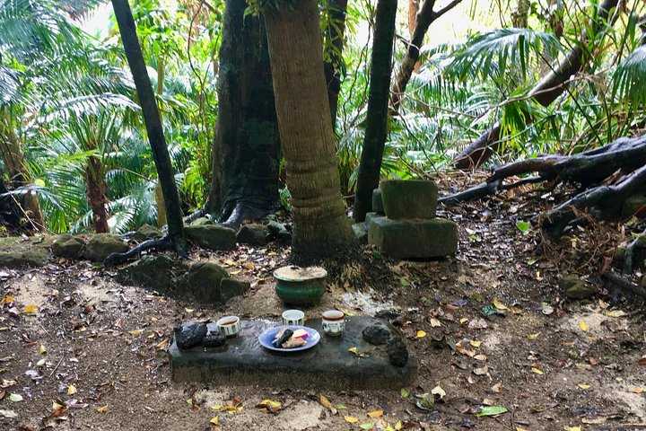 Iriomote Culture Discovery. Urfolkskultur på Iriomote Island