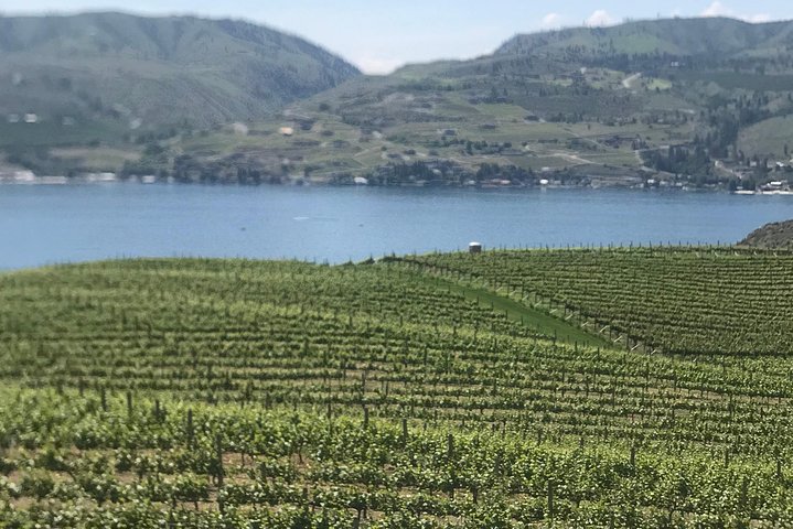 Wildwasser und Wein: Wenatchee River Wildwasser Rafting und Weingut Tour