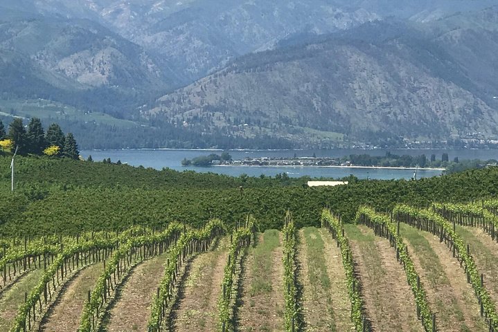 Wildwasser und Wein: Wenatchee River Wildwasser Rafting und Weingut Tour