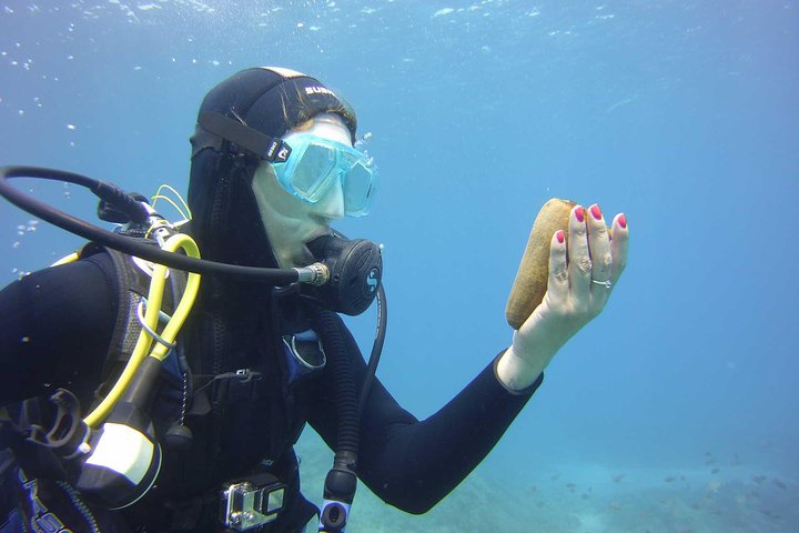 Scuba Diving Beginners Session i Costa Adeje
