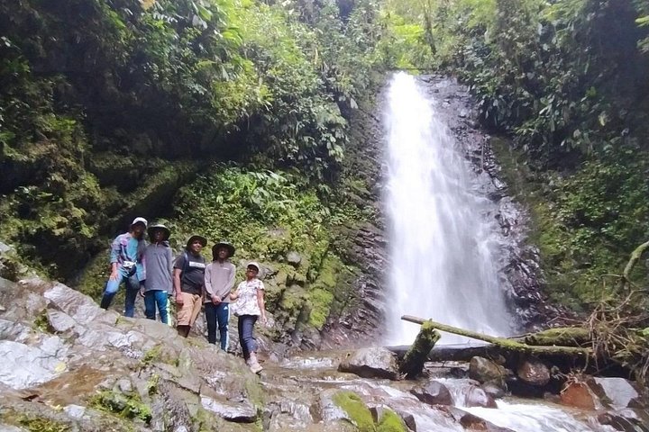 Private Mindo Cloud Forest Experience