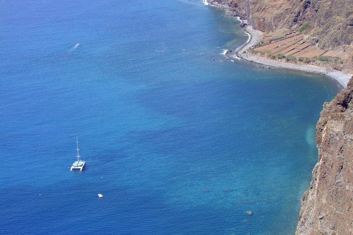 Delfin- og hvalobservationscruise på katamaran fra Funchal af VMT