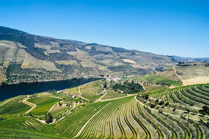 Douro Valley Tour : wijnproeverij, cruise en lunch vanuit Porto
