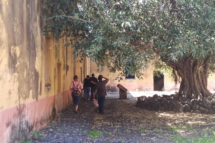 Privat rundtur: Mezcala Island, Chapala och Ajijic från Guadalajara