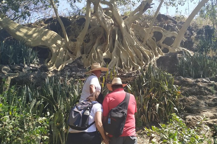 Privat rundtur: Mezcala Island, Chapala och Ajijic från Guadalajara