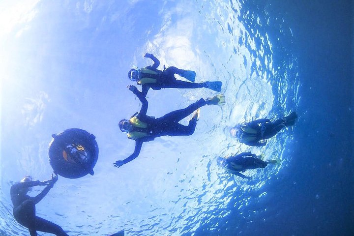 Charter Snorkling (nær Churaumi Aquarium) Gratis fotogave