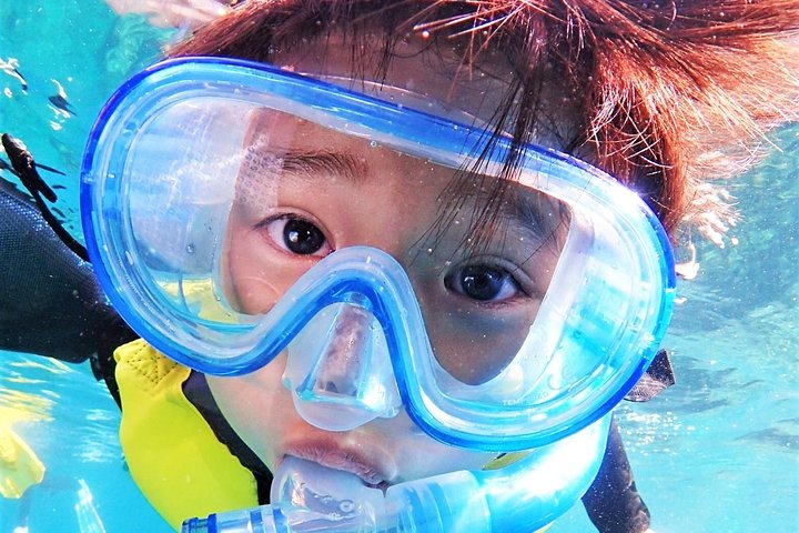 Charter Snorkling (nær Churaumi Aquarium) Gratis fotogave