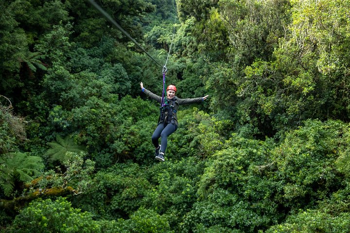 Hoteller i nærheden af Rotorua Canopy Tours: 2.5Hour Native Forest Zipline Adventure
