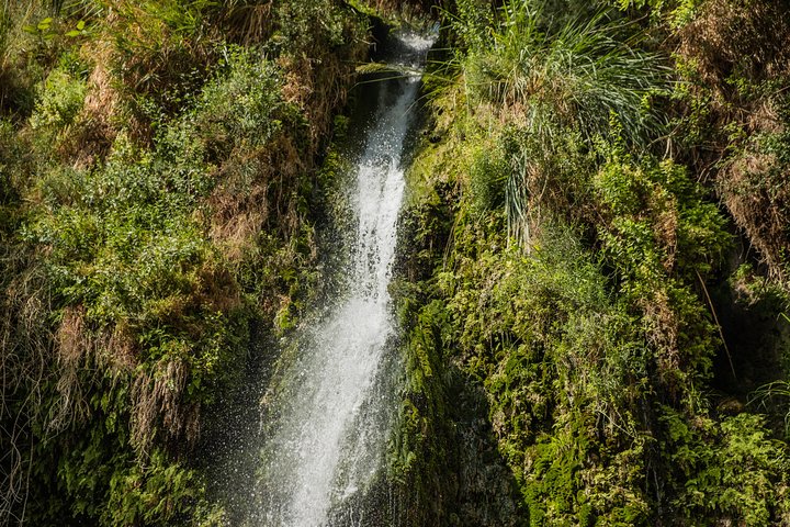Dead Sea, Masada and Ein Gedi Day Tour from Jerusalem