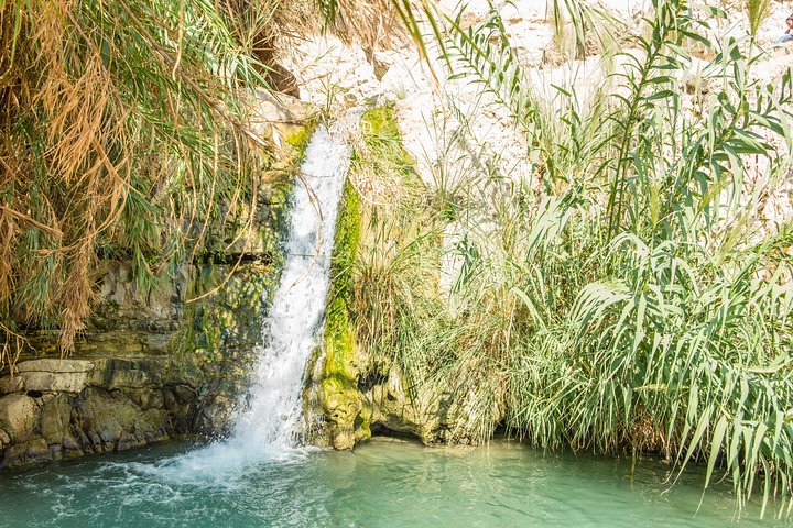 Dead Sea, Masada and Ein Gedi Day Tour from Jerusalem