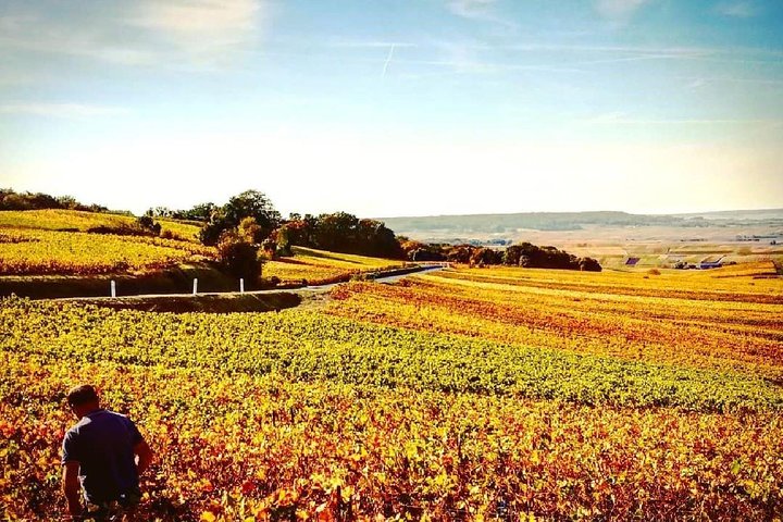 Tour privado de champán Moet y Chandon con degustaciones de Reims o Epernay