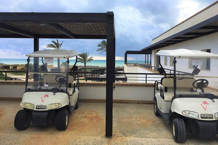 Privat transfer från Palermo flygplats till Verdura Resort, Sciacca