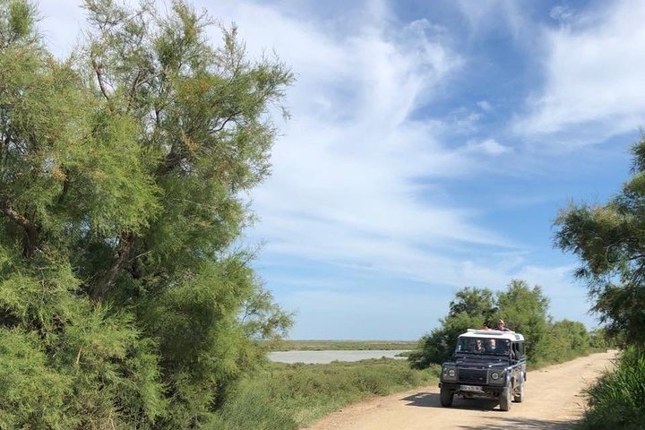 4x4 Camargue Safari 4h - Avgång från Arles