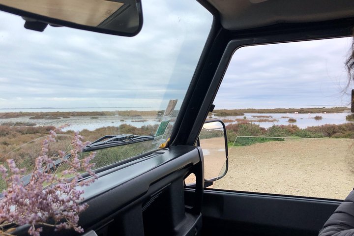 4x4 Camargue Safari 4h - Avgång från Arles