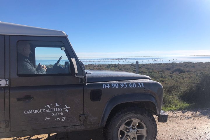 Safari 4x4 Camargue 4t - Privat tur - Avgang fra Arles