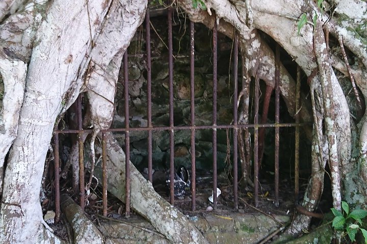 Ilha Grande - Visite à pied historique privée avec piscine naturelle.