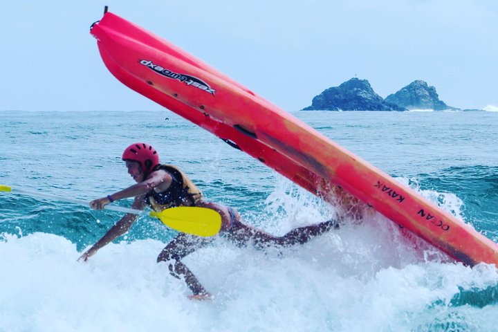 Kayak avec dauphins à Byron Bay Visite guidée