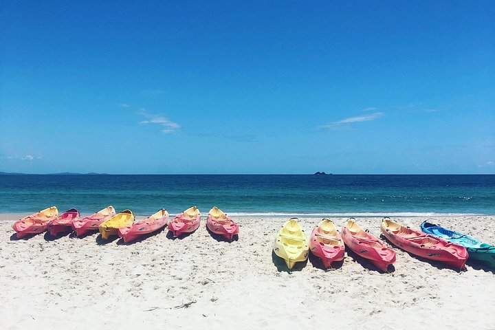 Kayak avec dauphins à Byron Bay Visite guidée